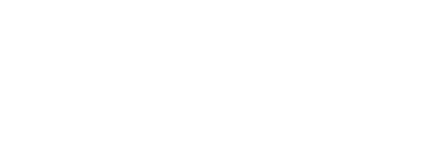 Plus Auto Style